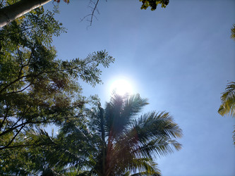 Similar image 22536068