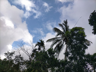 Similar image 22536083