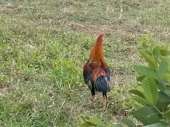 Similar image 22536098