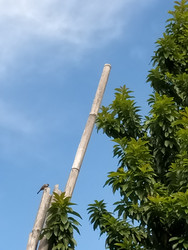 Similar image 22536127