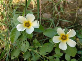 Similar image 22536142