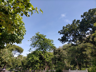 Similar image 22536143