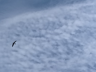 Similar image 22536157