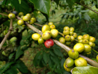 Similar image 22536172