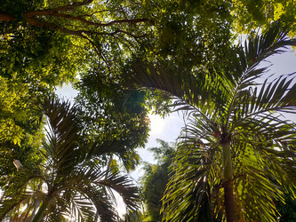 Similar image 22536202