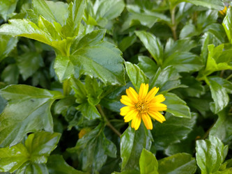 Similar image 22536203