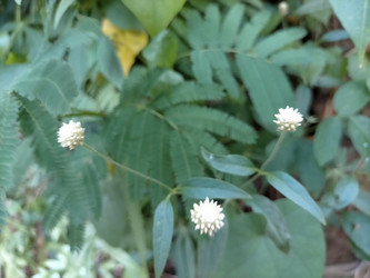 Similar image 22536218