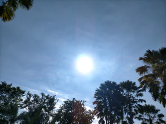 Similar image 22536233