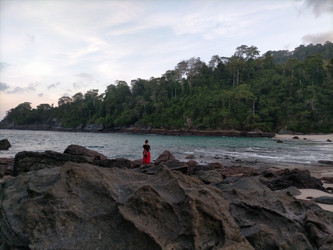 Similar image 22536246