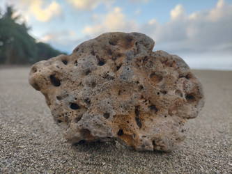 Similar image 22536247