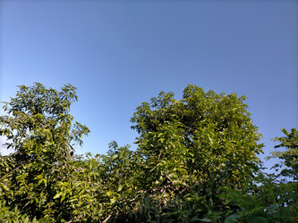 Similar image 22536321