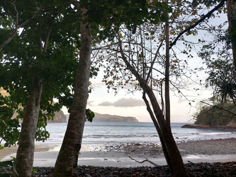 Similar image 22536322