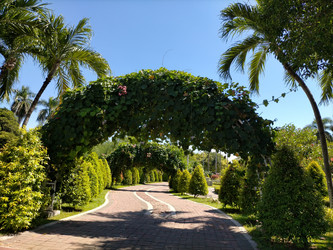 Similar image 22536336