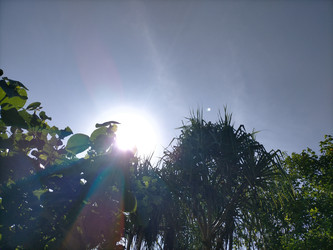 Similar image 22536352