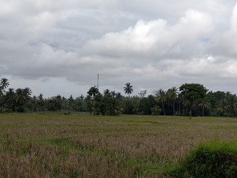 Similar image 22536367