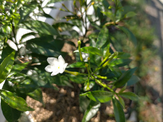 Similar image 22536382