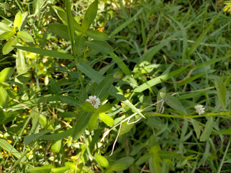 Similar image 22536411