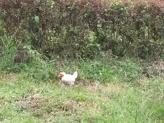 Similar image 22536442