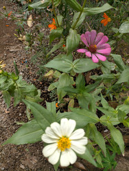 Similar image 22536457