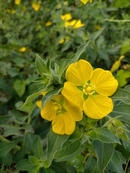 Similar image 22536471