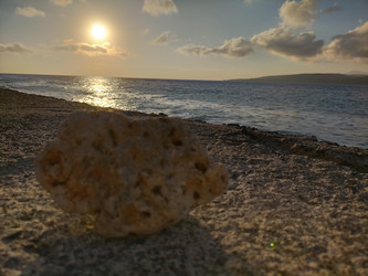 Similar image 22536487