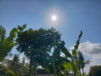 Similar image 22536501