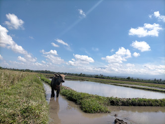 Similar image 22536562