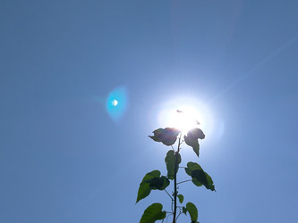 Similar image 22536592