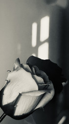 Similar image 22494181