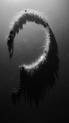 Similar image 22494183