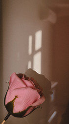 Similar image 22497558