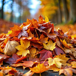 Similar image 22495975