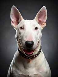 Similar image 22496485