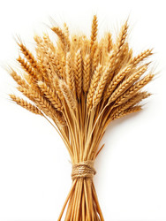 Similar image 22496545