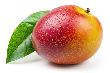 Similar image 22496622