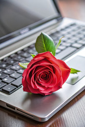 Similar image 22494168