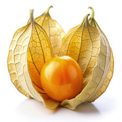 Similar image 22496953