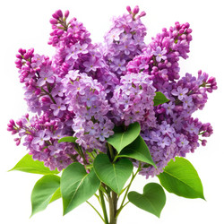 Similar image 22497088