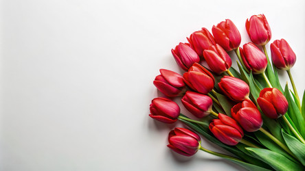 Similar image 22497104