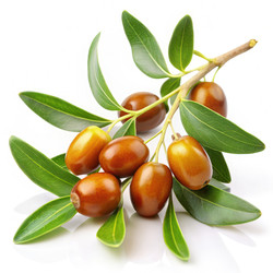 Similar image 22494154