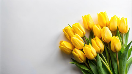 Similar image 22494156