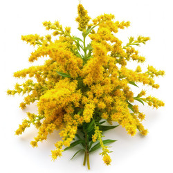 Similar image 22494169