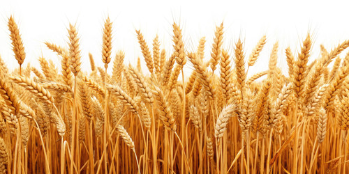 Similar image 22495693