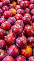 Similar image 22495830