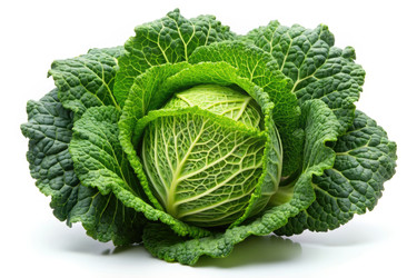 Similar image 22496159