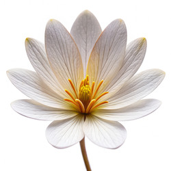 Similar image 22496293