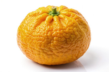 Similar image 22496385