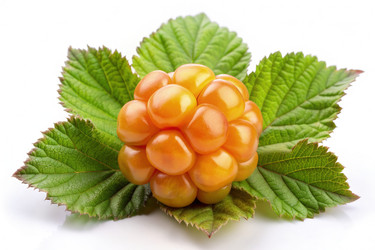 Similar image 22496549