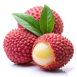 Similar image 22495740