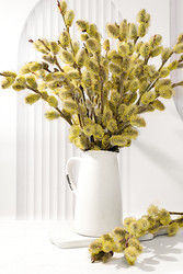 Similar image 22494231